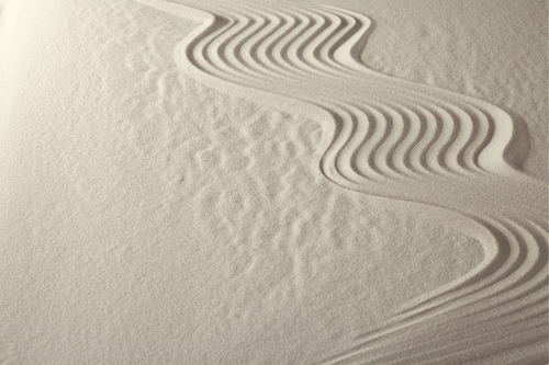 Frances Ardron Ardron