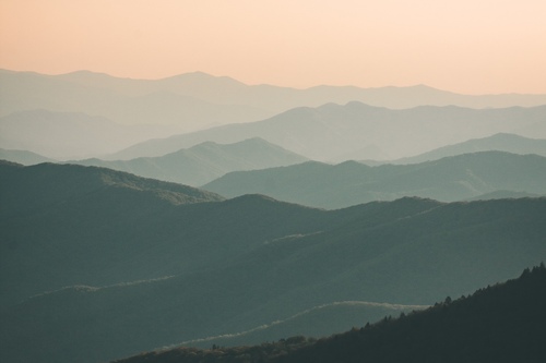 Frances Ardron Ardron